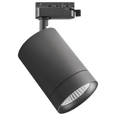 Трековый светильник-спот Lightstar Canno 303274