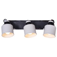 Настенный светильник ESCADA 1107/3A, 120 Вт