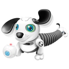 Робот Silverlit YCOO nFriends Robo Dackel Jr. белый/серый
