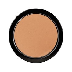 PAESE Пудра компактная матирующая стойкая Long Cover Powder 60