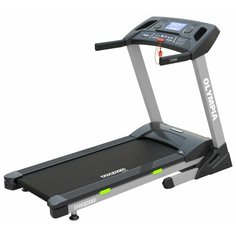 Электрическая беговая дорожка Torneo Olympia T-530