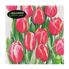 Салфетки бумажные Bulgaree Green Дыхание весны трехслойные 33х33 см 20 шт