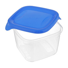 Контейнер Curver Fresh&Gо квадратный 0,45 л синий