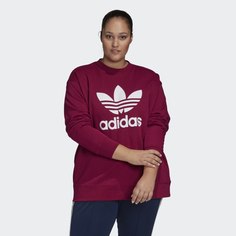 Свитшот Trefoil Crew (Plus Size) adidas Originals