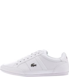 Белые кроссовки с тонкой подошвой Chaymon Lacoste