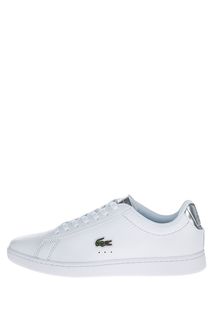 Кожаные кеды белого цвета Carnaby Evo Lacoste