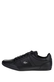 Кожаные кеды черного цвета Chaymon Lacoste
