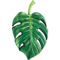 Матрас надувной Пальмовый лист, 213смx142см Intex