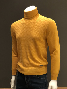 Водолазка мужская ALESSANDRO DELL`ACQUA AD0379D / M0054 желтая 48