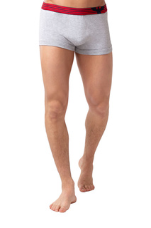 Трусы мужские OPIUM R125 серые L