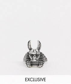 Серебристое кольцо с дизайном "Анубис" Reclaimed Vintage inspired-Серебряный