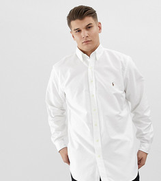 Белая оксфордская рубашка на пуговицах с логотипом Polo Ralph Lauren Big & Tall-Белый