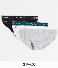 Набор из 3 трусов (черные/белые/серые) Lacoste-Мульти