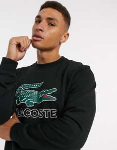 Черный свитшот с круглым вырезом и логотипом Lacoste-Белый
