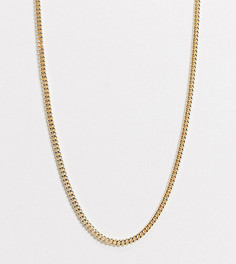 Ожерелье-цепочка толщиной 3 мм ASOS DESIGN Curve-Золотой