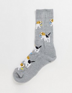 Спортивные носки с дизайном "бигль" ASOS DESIGN-Серый