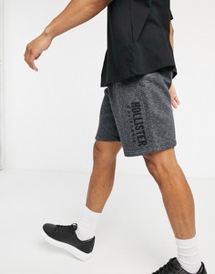 Черные трикотажные шорты с логотипом Hollister-Черный