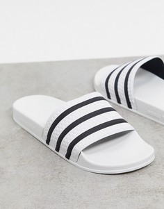 Белые шлепанцы с черными полосками adidas Originals Adilette-Белый