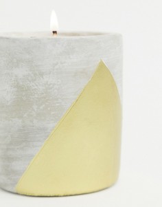 Свеча с ароматом амбры и дыма 340 г URBAN-Бесцветный Paddywax