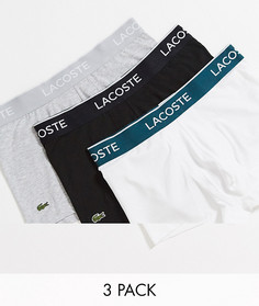 Набор из 3 боксеров-брифов серого, черного и белого цвета Lacoste-Мульти