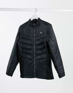 Стеганая куртка Lacoste-Черный