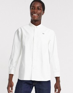 Белая рубашка с длинными рукавами Lacoste-Белый