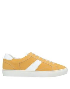 Низкие кеды и кроссовки Steve Madden