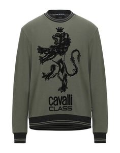 Толстовка Cavalli Class