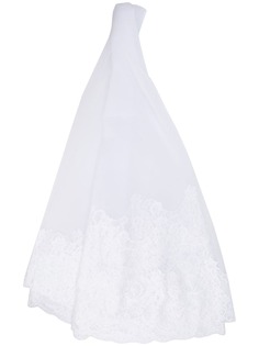 Alberta Ferretti floral-lace trimmed veil