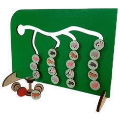 Головоломка PAREMO Сортер