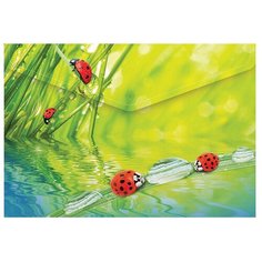 Berlingo Папка-конверт на