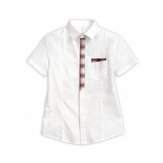 Рубашка Pelican