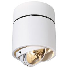 Спот SLV Kardamod 117171