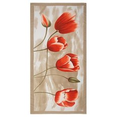 Палантин Mellizos S10-21F 215