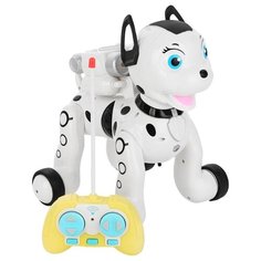 Робот Zhorya Умный питомец