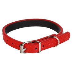 Ошейник Пижон 3110295 33 см