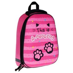 ArtSpace ранец School Friend