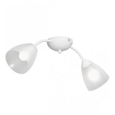 Люстра Vitaluce V3737-0 2PL E14