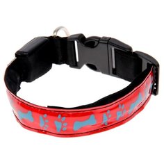 Ошейник Пижон с подсветкой M