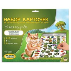 Дополнение для настольной игры Десятое королевство
