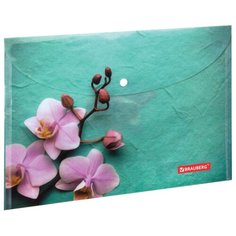 BRAUBERG Папка-конверт с