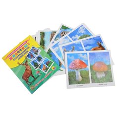 Набор карточек Prof-Press Проф Пресс