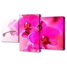 Модульная картина Toplight