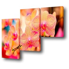Модульная картина Toplight