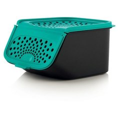 Tupperware Контейнер Свежесть