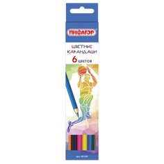 Пифагор Карандаши цветные