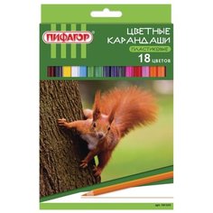 Пифагор Карандаши цветные