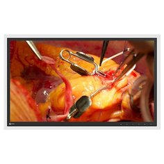 Монитор Eizo RadiForce EX271W 27