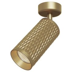 Спот MAYTONI Alfa C034CL-01G