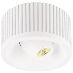 Спот SLV Occuildas 117361